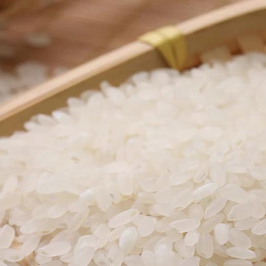 缕缕香东北大米粳米 10kg/袋 商品图3