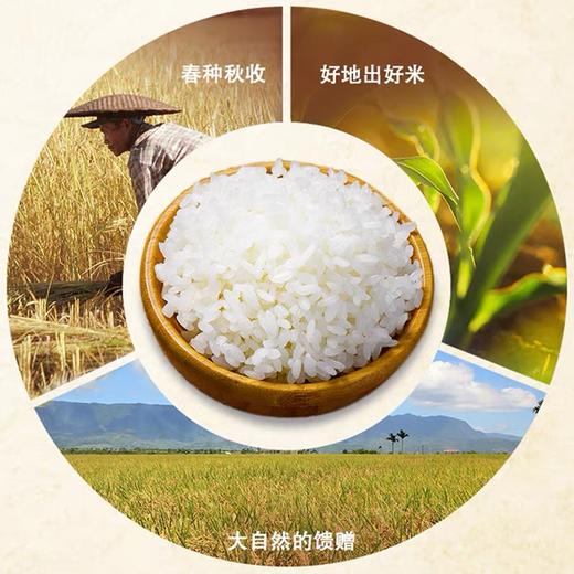 缕缕香东北大米粳米 10kg/袋 商品图4