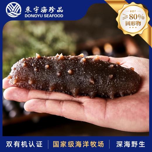 有机野生即食海参3-4年 限量品鉴 预售20号发货 商品图1