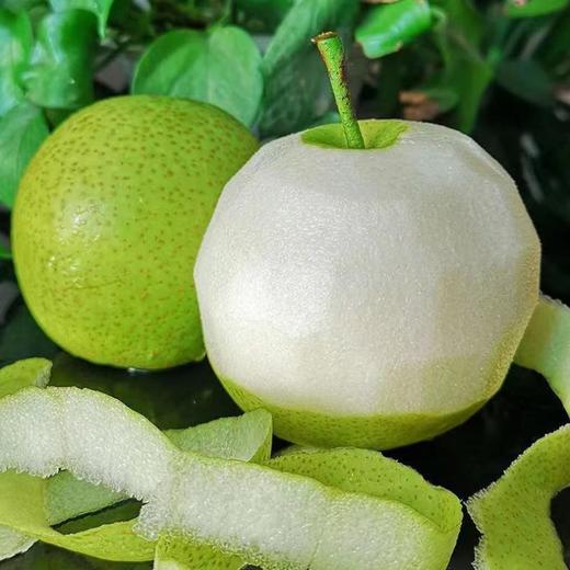 砀山青皮蜜梨【顺时润养，盛夏败火】个大饱满皮薄肉厚 香甜多汁【约4.5斤/箱】 商品图0