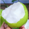 砀山青皮蜜梨【顺时润养，盛夏败火】个大饱满皮薄肉厚 香甜多汁【约4.5斤/箱】 商品缩略图1