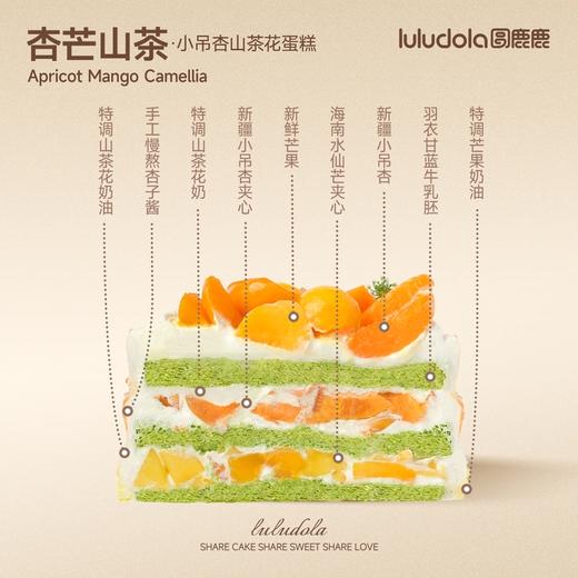 杏芒山茶 商品图1