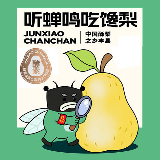 生态梨 2.5kg 商品图4