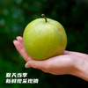 生态梨 2.5kg 商品缩略图2