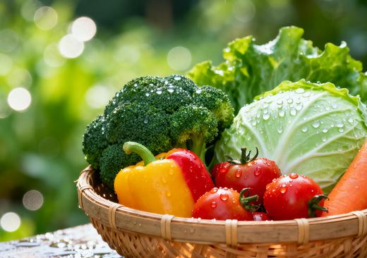 暑期搭档 有机蔬菜礼盒 4斤装（原价78元，限时折扣） 商品图0