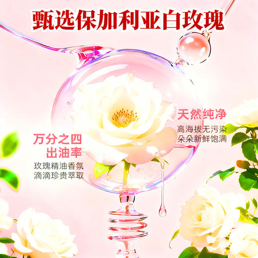 【买1送1】池露内衣清洗剂 300ml/瓶 商品图2