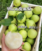 蜜雪青梨“酥脆一号”礼盒 商品缩略图2