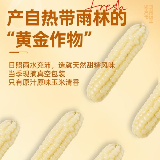 【鲜食】几多全云南拇指小玉米380g  一指大小 满口清甜糯香 商品图3