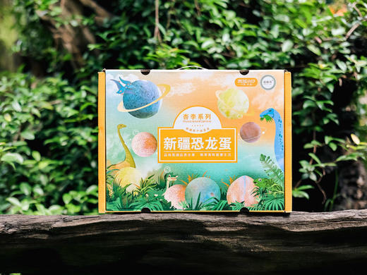 新疆杏李恐龙蛋2.5斤礼盒 商品图0