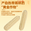 【鲜食】几多全云南拇指小玉米380g  一指大小 满口清甜糯香 商品缩略图2