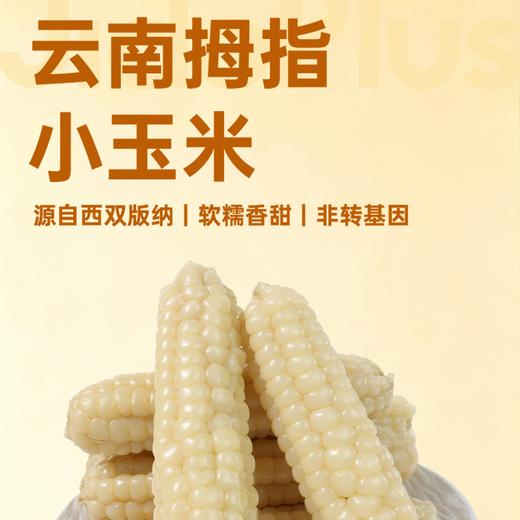 【鲜食】几多全云南拇指小玉米380g  一指大小 满口清甜糯香 商品图1