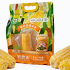 敖汉有机黄糯玉米1.5kg 商品缩略图0