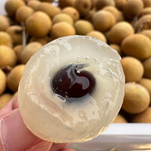 鲜龙眼 500g/份（鲜甜可口） 商品图1