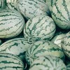 大漠西瓜1箱10斤左右 商品缩略图2
