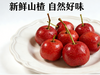 果游记陈皮/西梅/酸奶山楂丁 商品缩略图5