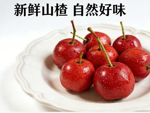 果游记陈皮/西梅/酸奶山楂丁 商品图5