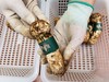 2026香格里拉有机野生松茸 商品缩略图1