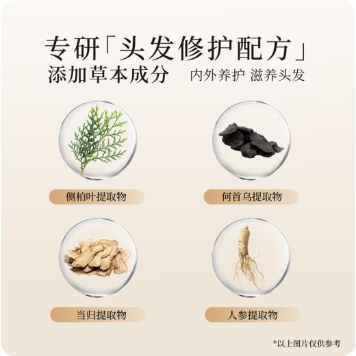 【正安医馆推荐】侧伯叶强韧防断洗发水 草本配方多重呵护 滋养干枯发丝 500ml/瓶 商品图2