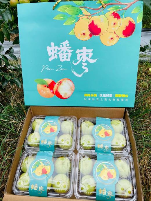 大理宾川最🔥爆的蟠枣 商品图9