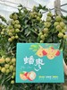 大理宾川最🔥爆的蟠枣 商品缩略图11