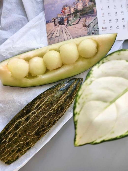斗牛蜜瓜🍈 商品图2
