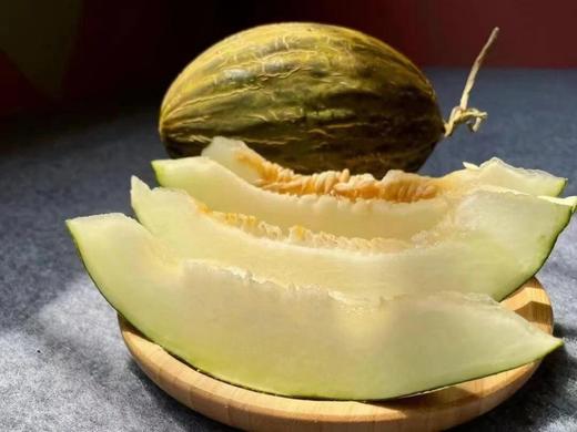 斗牛蜜瓜🍈 商品图8