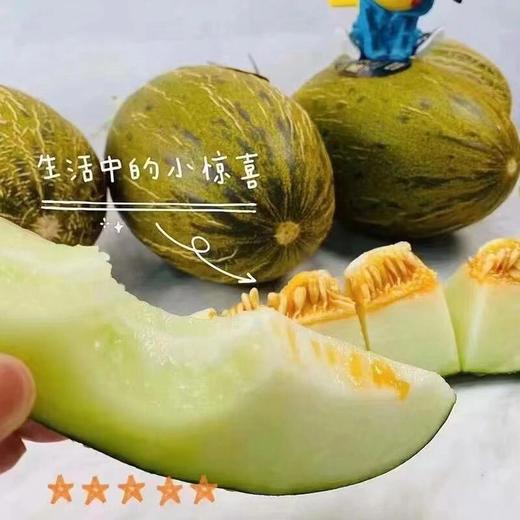 斗牛蜜瓜🍈 商品图7