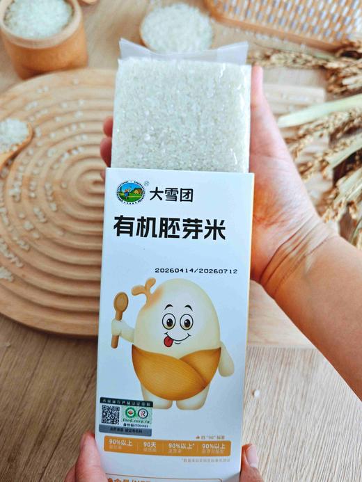 有机胚芽米500g 商品图0