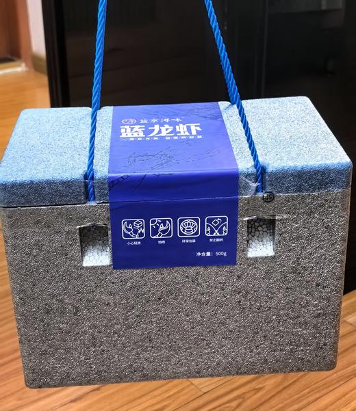 【澳洲蓝龙虾】小青龙 商品图12