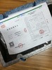 【澳洲蓝龙虾】小青龙 商品缩略图10