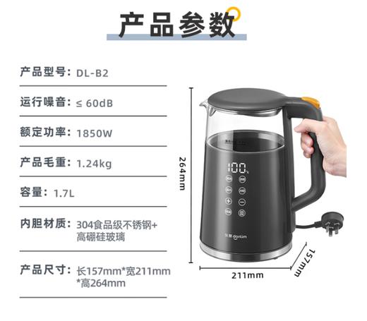 东菱调温热水壶DL-B2钛金灰 商品图4