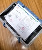 【澳洲蓝龙虾】小青龙 商品缩略图11