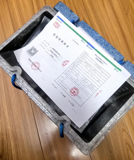 【澳洲蓝龙虾】小青龙 商品图11