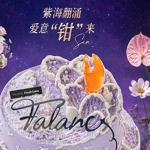 【紫气钳来】奔赴紫色的梦幻潮汐 商品图1
