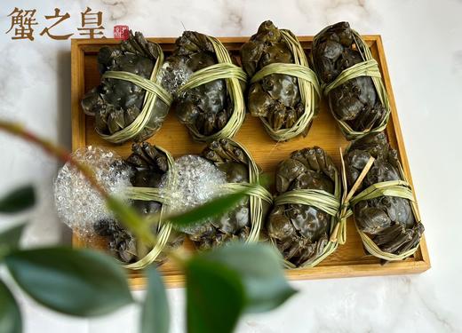 蟹之皇六月黄大闸蟹 商品图4