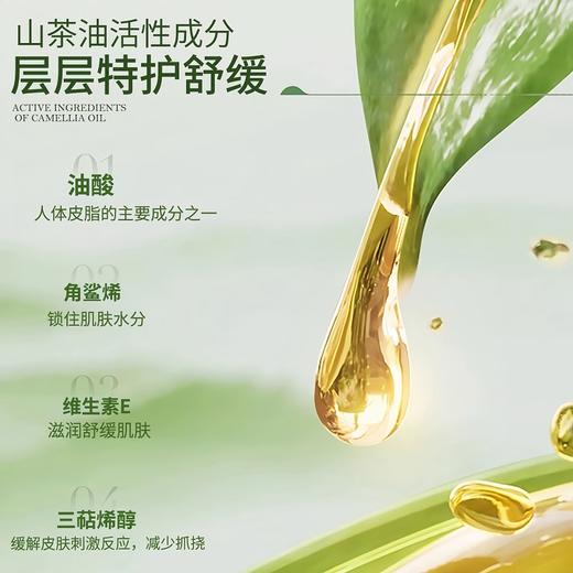 南稻皇山茶油（礼盒装） 500ml*2 商品图2
