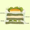 茉莉青提布蕾 商品缩略图1