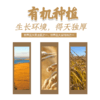 有机胚芽米煎饼 100g 商品缩略图5