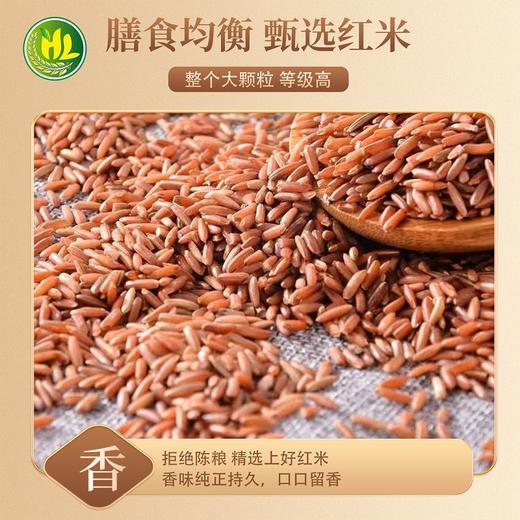 南稻皇 红米  5kg（1kg*5小袋） 商品图2
