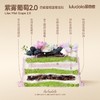 紫雾葡萄2.0 商品缩略图1