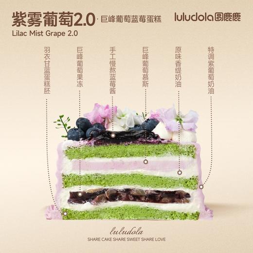紫雾葡萄2.0 商品图1