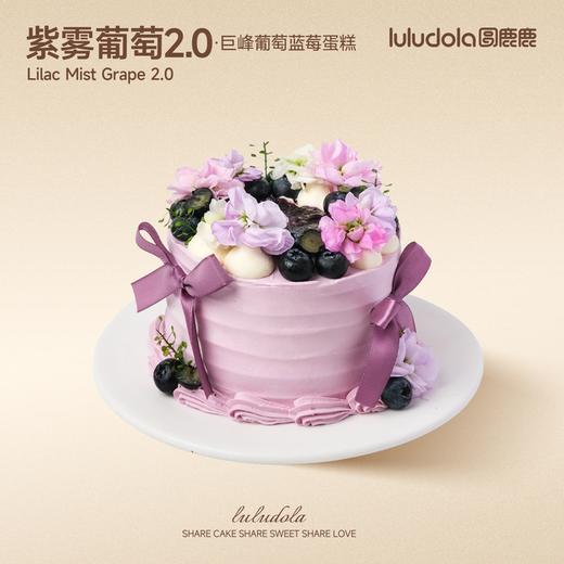 紫雾葡萄2.0 商品图0