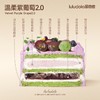 温柔紫葡萄2.0 商品缩略图1