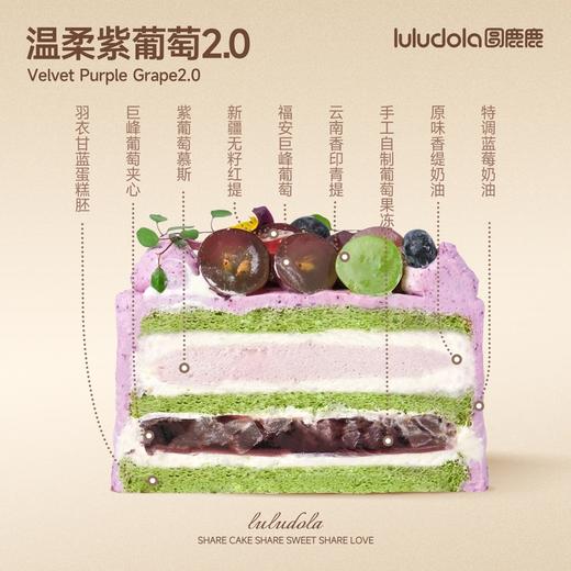 温柔紫葡萄2.0 商品图1