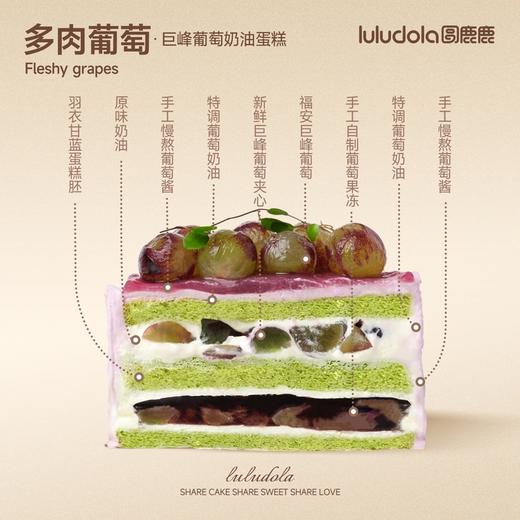 多肉葡萄 商品图1