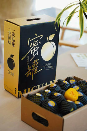 云南蒙自蜜罐黄金奈李