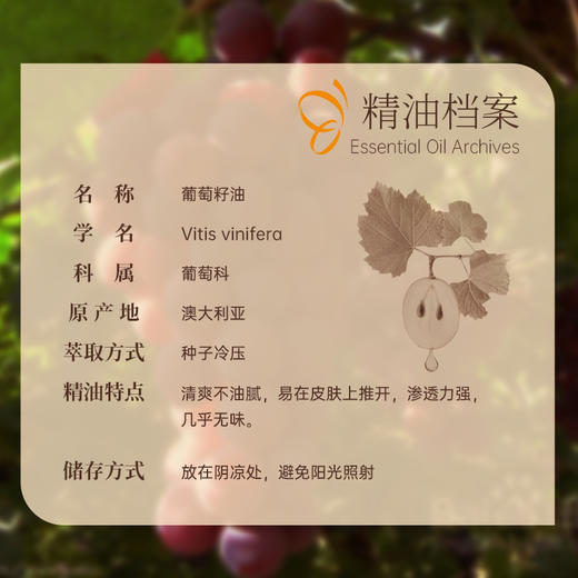 葡萄籽油30ml【基础油·可搭配单方精油】水感油质地 让肌肤快速吸收 22年精油经验【嘉媚乐】 商品图3