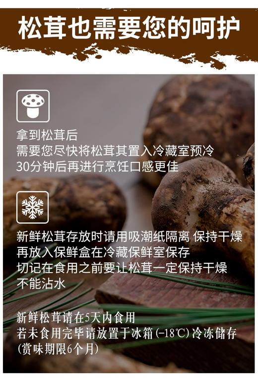 云南香格里拉·野生松茸 商品图8
