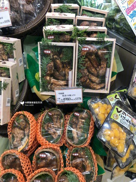 云南香格里拉·野生松茸 商品图1