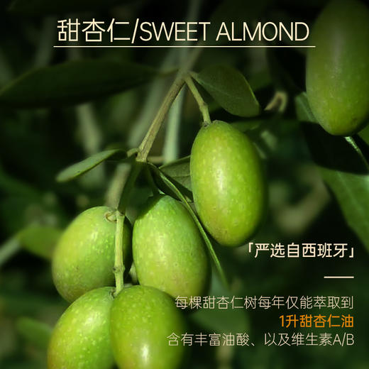 甜杏仁油30ml【基础油·可搭配单方精油】推荐油性肌肤 亲肤滋润减少瘙痒紧绷 润养肌肤按摩经络 22年精油经验【嘉媚乐】 商品图1